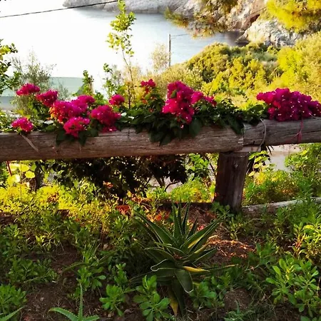 Dialiskari #2 Apartment