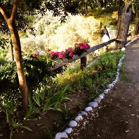 Dialiskari #2 Apartment