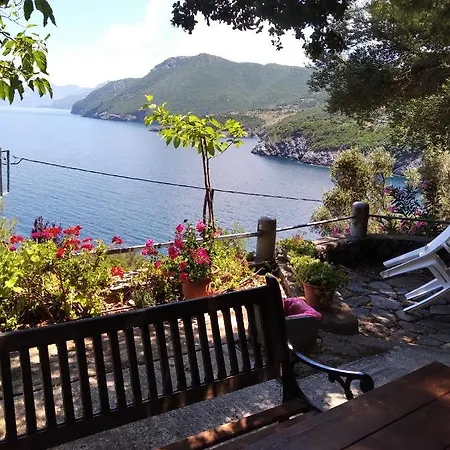 Dialiskari #2 Apartment