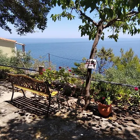 Dialiskari #2 * Limnionas (Central Greece)