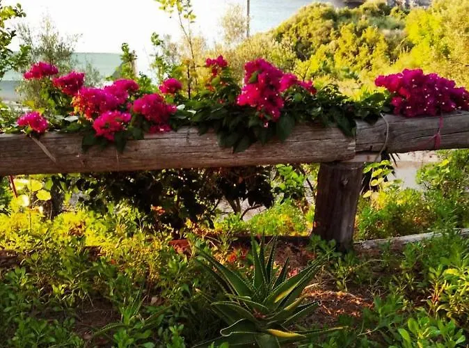 Dialiskari #2 Apartment